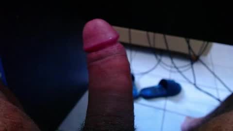 wellingtont online show from March 22, 2:26 am