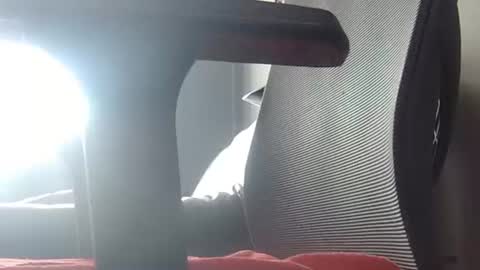 Wetbigdickstream online show from June 23, 11:41 am