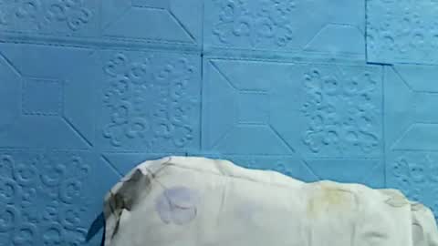 Snapshot of wettyhottie69 chatting on July 1, 10:31 pm wettyhottie69 online show from July 1, 10:31 pm