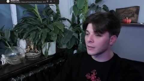 Gus online show from October 27, 8:46 pm