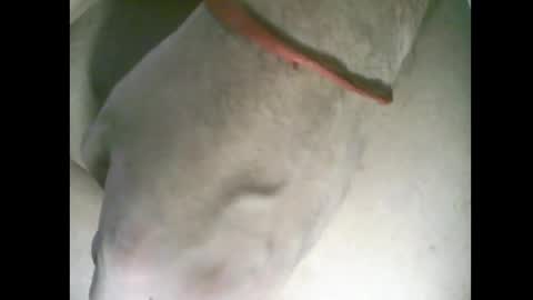 whitelines1991 online show from March 6, 1:02 am