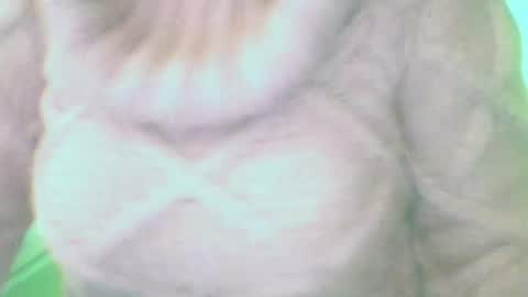 whitesweater online show from March 10, 7:32 am