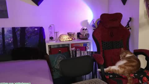 Gretchen  Jimmy online show from March 29, 4:45 am