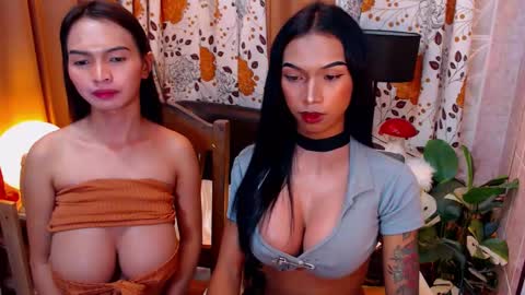 Snapshot of wildara chatting on February 8, 2:26 am wildara online show from February 8, 2:26 am