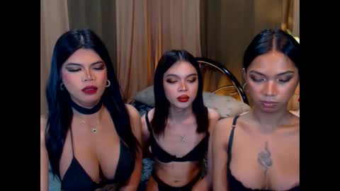 Snapshot of wildara chatting on October 22, 10:59 am wildara online show from October 22, 10:59 am