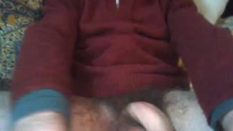 wilditalian online show from January 14, 12:44 pm