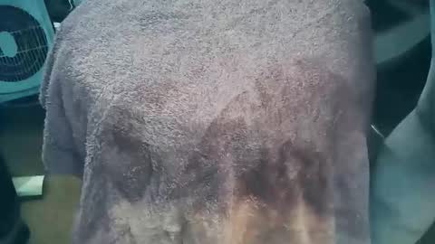 Snapshot of wildman6 chatting on March 26, 7:19 pm wildman6 online show from March 26, 7:19 pm