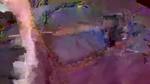 bobby banks online show from February 20, 5:02 pm