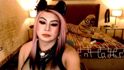 wildtransjhade online show from January 16, 12:53 pm
