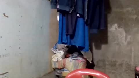 Snapshot of wildveron_205 chatting on December 17, 12:33 pm wildveron_205 online show from December 17, 12:33 pm