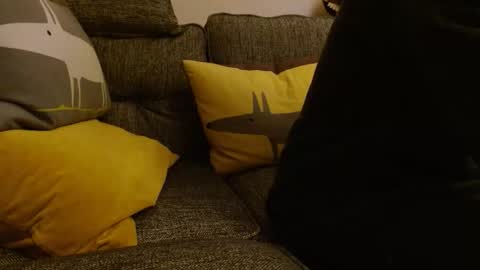 wildwills online show from May 10, 10:37 pm