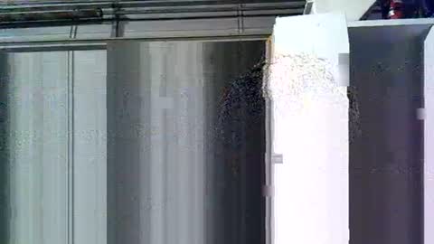 willielowrider online show from March 10, 8:41 am