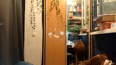 Phoebe online show from February 11, 8:47 pm