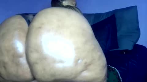 wilmaassylum online show from March 8, 6:28 am