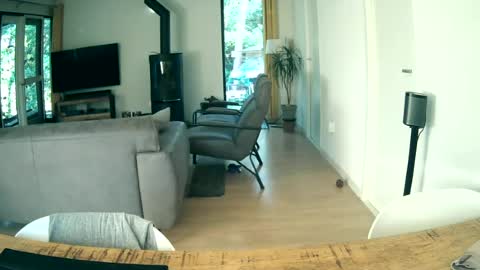 Snapshot of woodwurm chatting on June 19, 5:34 am woodwurm and Snoeske online show from June 19, 5:34 am