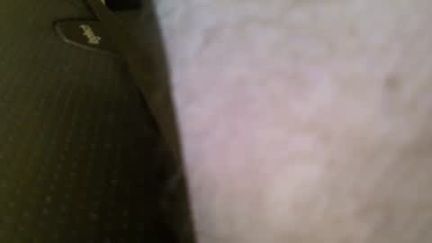 wrangleat0r online show from January 11, 5:56 am