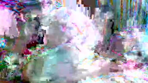 Snapshot of xixo6969 chatting on February 20, 5:15 am xixo6969 online show from February 20, 5:15 am