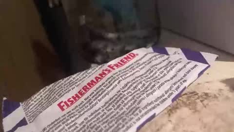 xvoyeur2011x online show from April 3, 7:34 pm