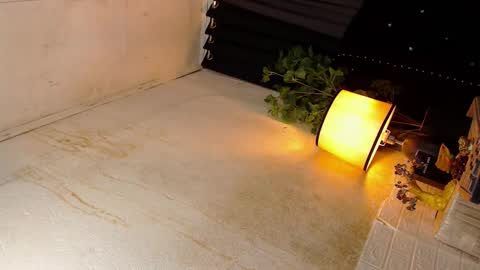 Sophie online show from October 19, 5:57 pm