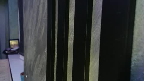 Snapshot of xxxdonpuiuuxxx chatting on February 17, 9:21 pm xxxdonpuiuuxxx online show from February 17, 9:21 pm