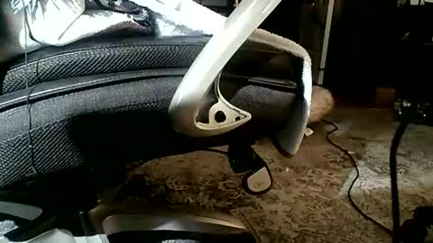 yamagrow online show from April 19, 1:10 pm