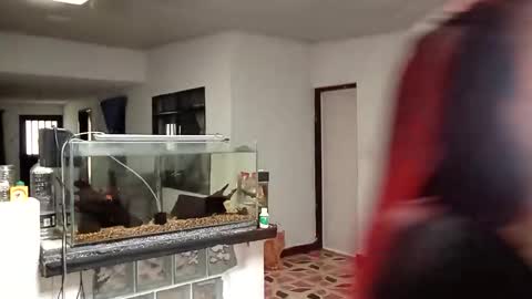 Snapshot of yesika_t chatting on January 9, 5:48 pm yesika_t online show from January 9, 5:48 pm