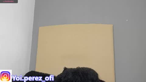 Yoi Olimpo online show from February 12, 12:22 pm