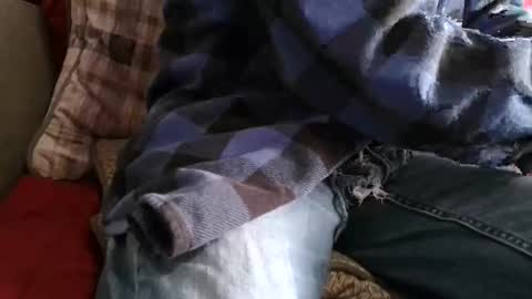 kindahorny online show from April 7, 8:09 pm