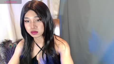 Stella online show from May 1, 3:49 pm