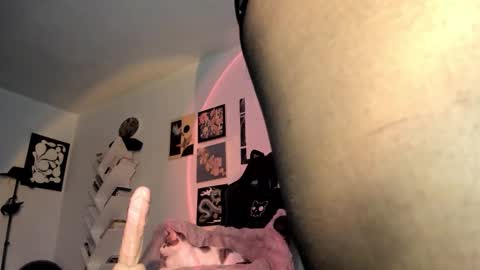 paola online show from January 15, 9:18 pm