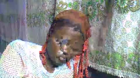 zarinamarlin online show from March 28, 8:19 pm