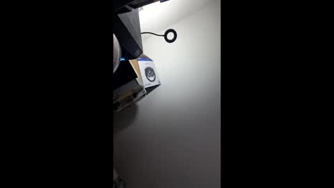 zorrodelavega online show from April 20, 9:16 pm