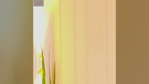 Zara online show from July 25, 7:22 pm