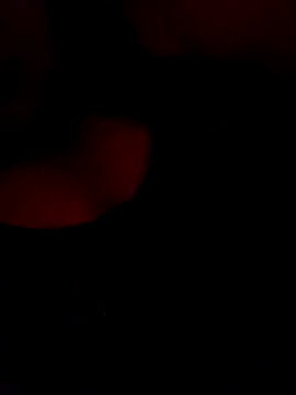 Snapshot of FerLu8 chatting on February 26, 4:00 am FerLu8 online show from February 26, 4:00 am