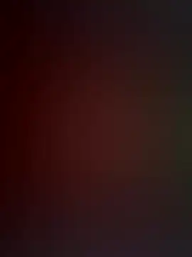 EvaMoet online show from November 1, 9:33 am