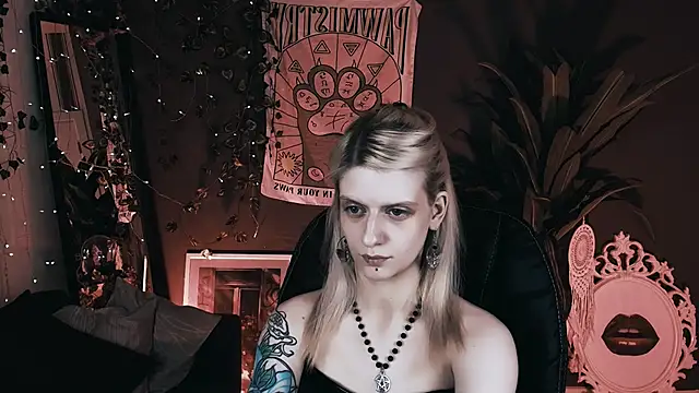 Noah ElmerX online show from November 26, 10:00 pm