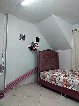 Rossestoner online show from December 16, 3:28 pm