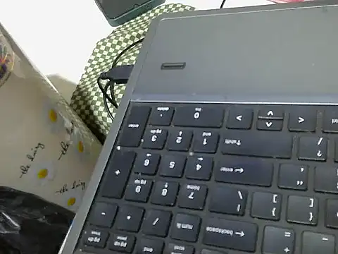 swt wet pus online show from March 6, 3:08 pm