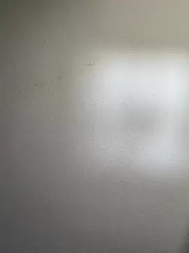 Wisco 23 online show from December 31, 4:16 am