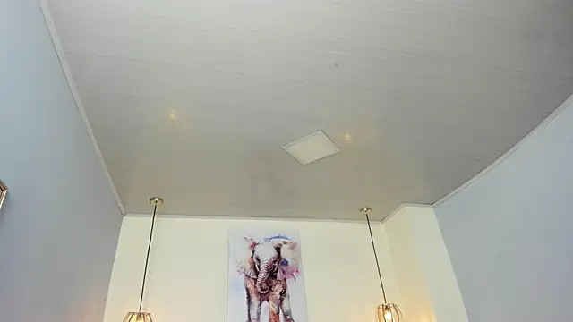 ayshel   online show from April 15, 3:35 am