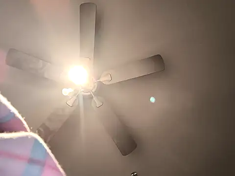 Snapshot of fransexdol chatting on February 26, 10:20 pm fransexdol online show from February 26, 10:20 pm