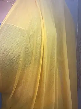 kannadatelugugirl online show from December 23, 2:17 pm