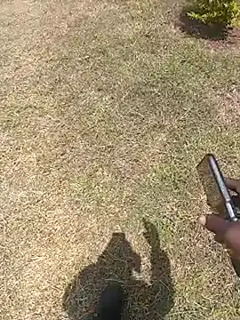 Snapshot of NattyDreadKenya chatting on July 29, 9:51 am NattyDreadKenya online show from July 29, 9:51 am