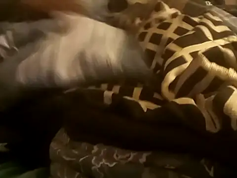 Blkstylion online show from December 14, 2:50 am