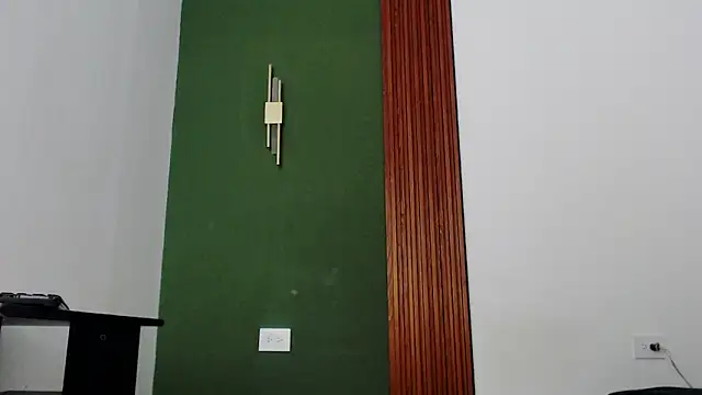 jean sneider online show from March 11, 3:45 am