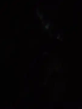 SassyAss Coco online show from April 22, 5:54 am