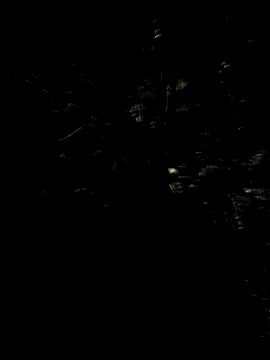Hancoxx online show from July 22, 9:17 pm