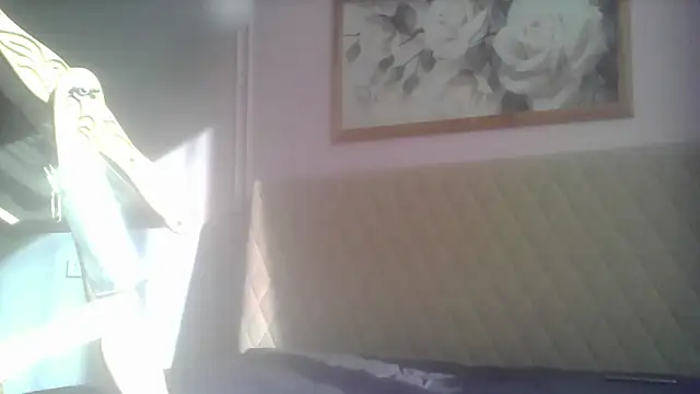 SunElizabeth online show from June 12, 2:43 am