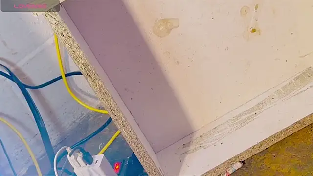 anotherbigboy  online show from April 28, 9:03 am