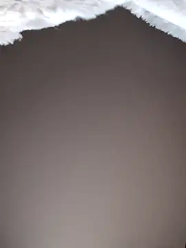 Snapshot of No-ties-fk chatting on February 8, 1:14 pm No-ties-fk online show from February 8, 1:14 pm